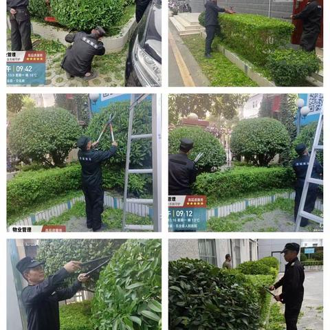 乐业县人民医院恒诚物业服务中心2023年10月-工作简报