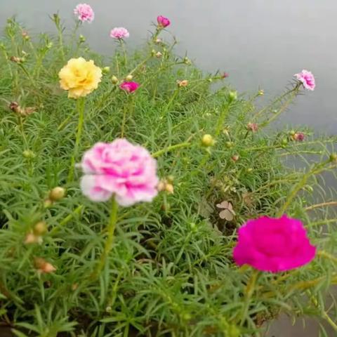 乐业县人民医院恒诚物业服务中心-2024年5月-工作简报