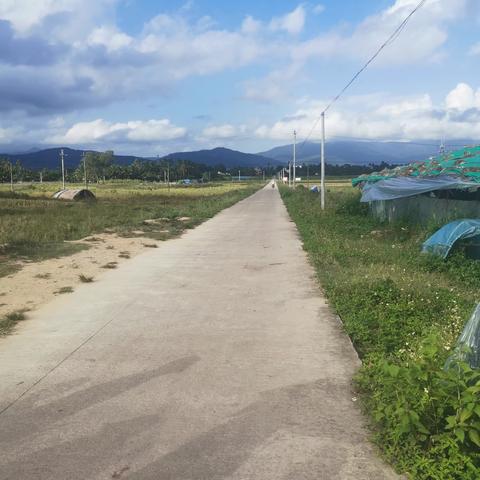 “自贸港少年，多彩远景”夏令营劳动教育——赓续劳动之风，共普美丽家园