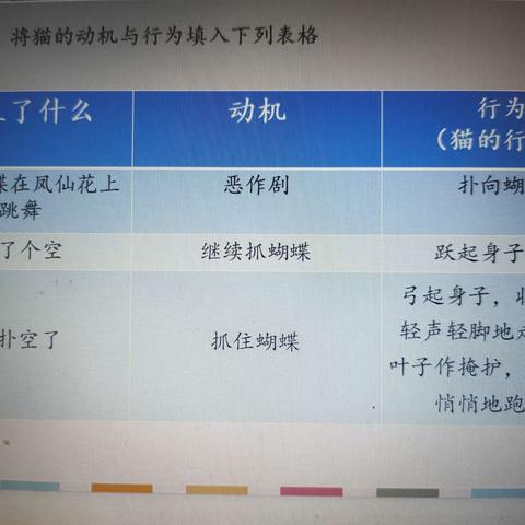 《一只想飞的猫》②