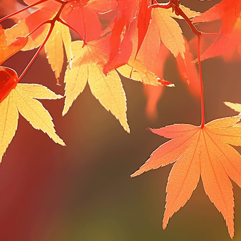 【品质课程·阅读季】童语润童心，阅读伴成长——滨城区第二实验小学《童心童语 快乐读写》作品展播（八）