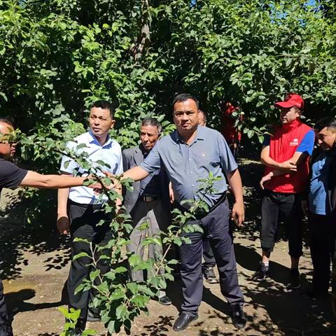 天灾无情人有情  中华保险暖人心