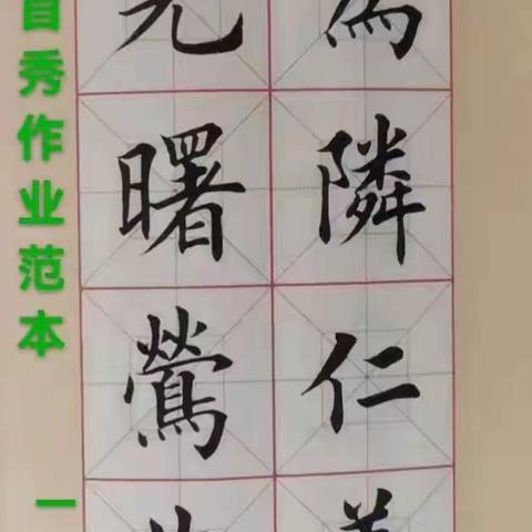 走卒家族二群3月下旬作业