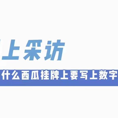 线下采访： 为什么西瓜挂牌上要写上数字呢？