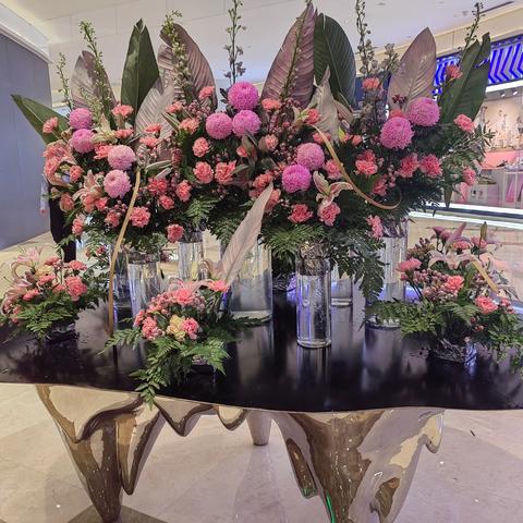 乡村日常活动掠影