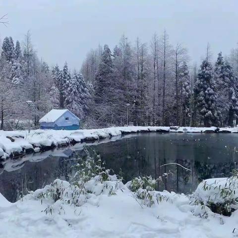 冬日雪景