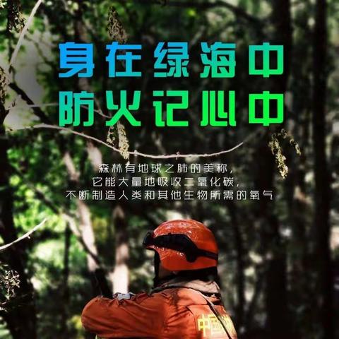 森林防火                       有你有我