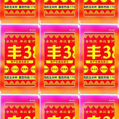 高抗病强抗倒掖丰388就是好