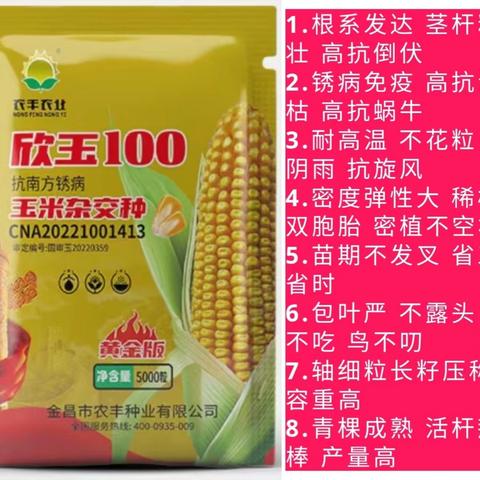 柘城国营种业的简篇