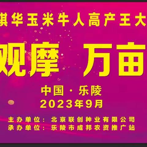 2023-2024年隆创310玉米牛人高产王大奖赛--乐陵站