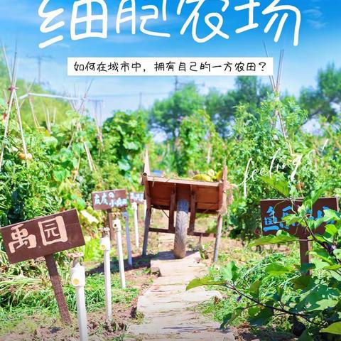 青少年农耕教育·科学手工社会实践活动