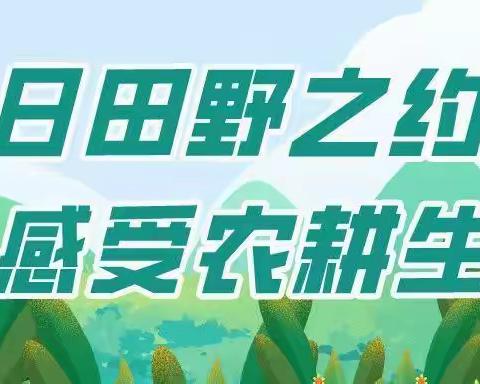 春日田野之约|“一起趣春游·营地共成长”农耕自然课程