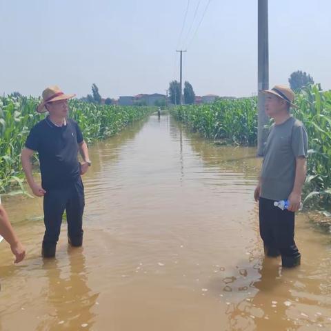 洪水无情     供水有爱