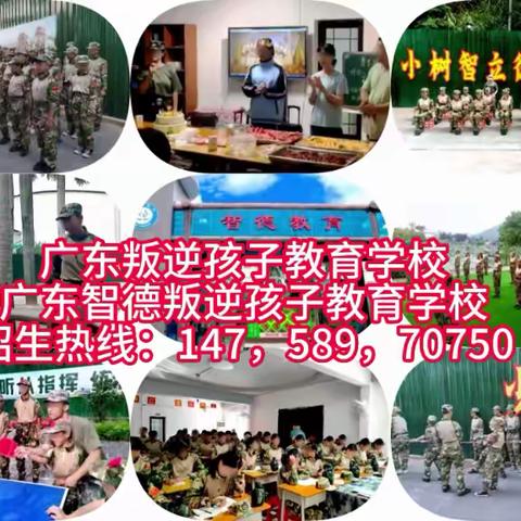 广东叛逆孩子教育学校哪家好？推荐广东智德叛逆孩子教育学校