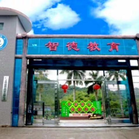 专门教育叛逆青少年孩子的学校,广东肇庆广宁智德教育