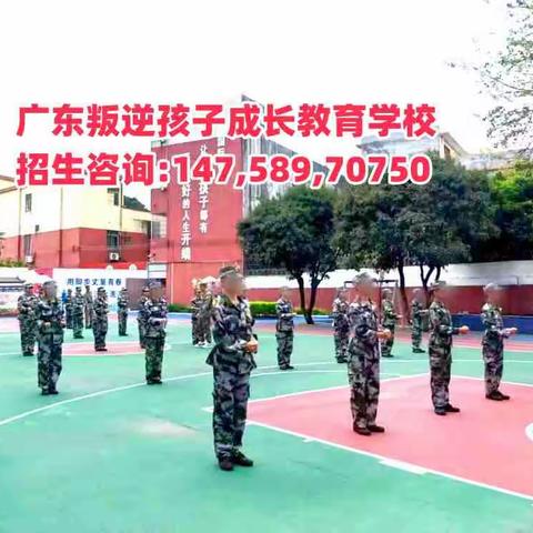 广东成长教育简介,广东正规叛逆孩子教育学校招生指南