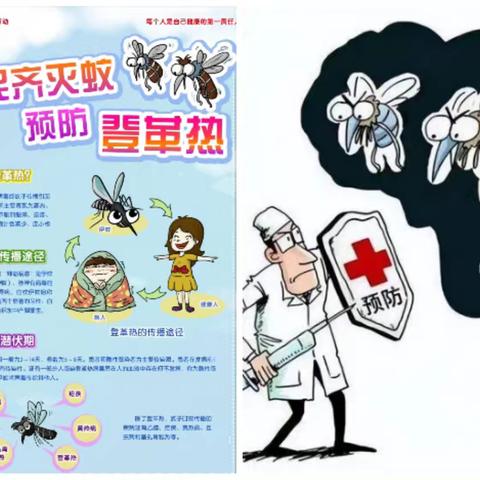 预防登革热消杀活动