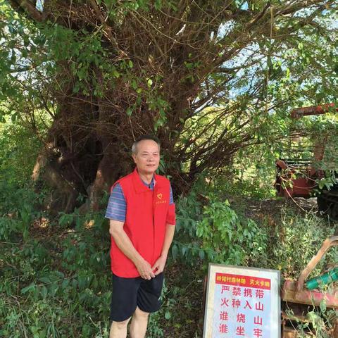 双节护绿守平安，筑牢森林防火线