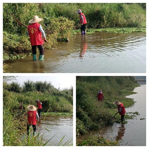 农村周边河道环境卫生清理志愿者活动
