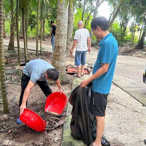 林新村组织开展人居环境大扫除活动