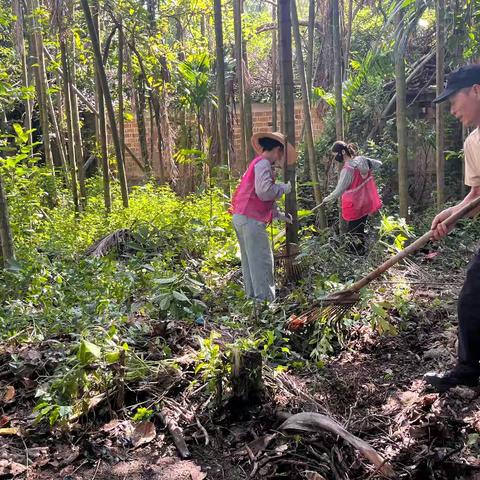 林新村委会持续开展爱国卫生大扫除活动