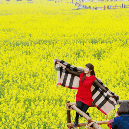 报名啦，游龙户外22~23号汉中油菜花海➕光雾山休闲两日游