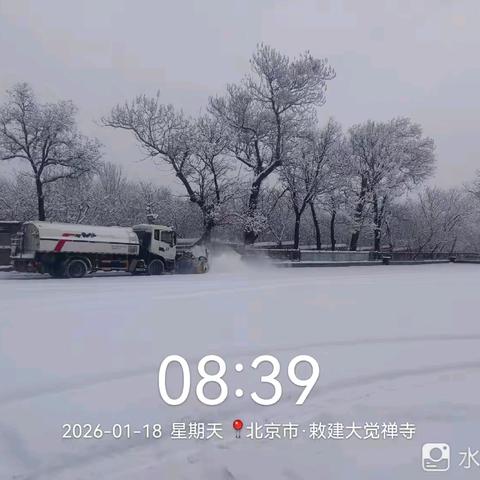 金地丰源以雪为令  高效除雪保畅通