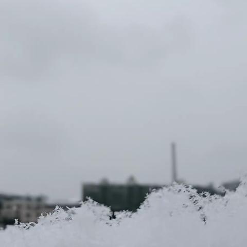 下雪啦