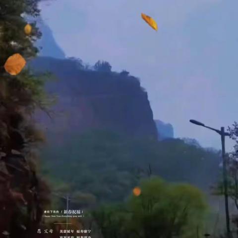 赵华任的简篇