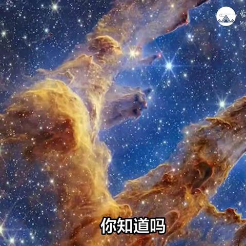 肠道菌群移植：健康微生物“换装”治疗肠道疾病