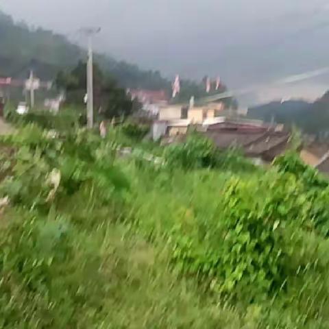 名师好心好人的简篇