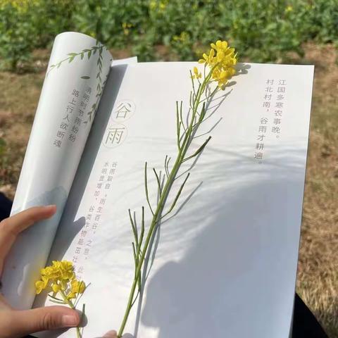 “拥有快乐，储蓄热爱”小树叶美术4月发生的10件大事