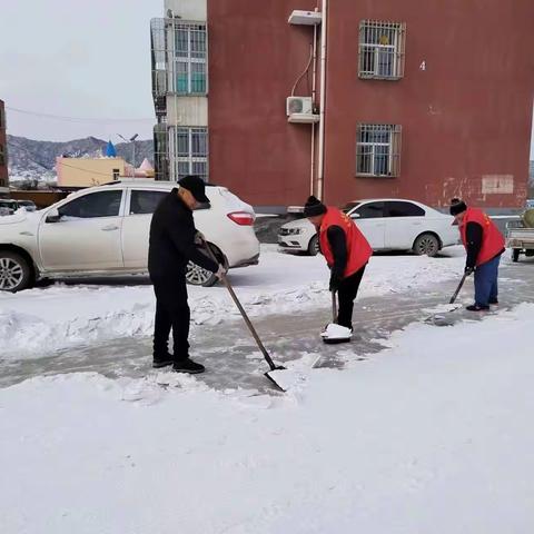 蔡园镇开展“志愿服务清扫积雪 保障居民安全出行”活动