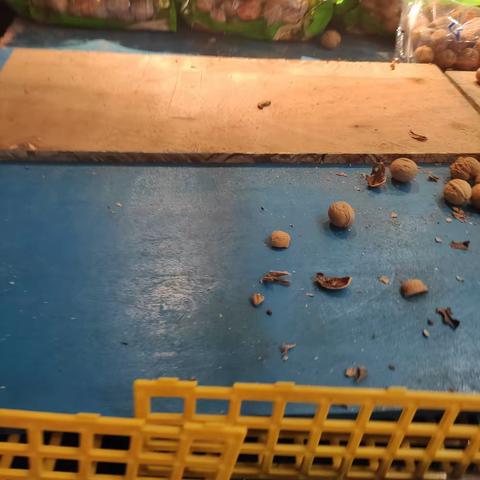 干货营运检查图片