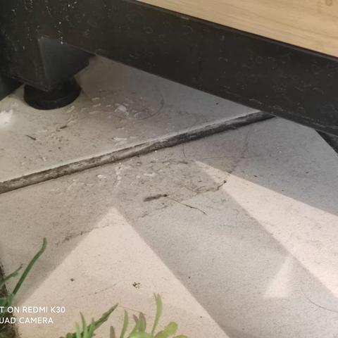 干性运营检查图片