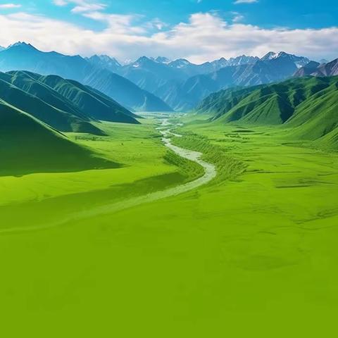 人大深入调研，助推工业发展