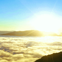 守护健康路，科普践医心，为患者撑起一把生命保护伞——巴东县人民医院成功举办第二季度323➕科普活动