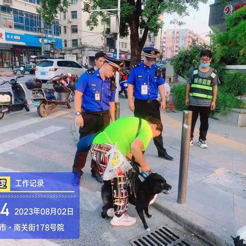 西大街执法中队养犬工作周报