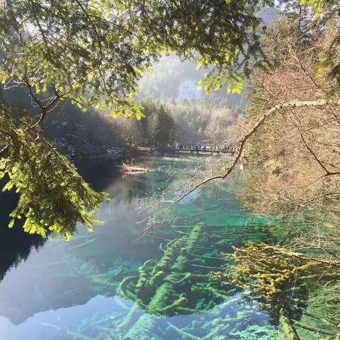 寒风萧瑟，秋叶飘零，时间悄悄在流逝……