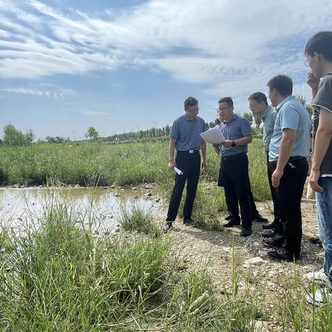 市生态环境局督察处现场核查阎良区督察反馈问题整改落实情况