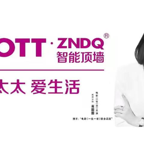 HAOTT好太太300*600铝扣板