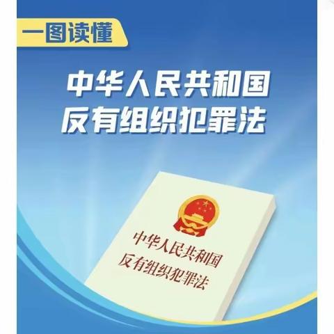 一图读懂《反有组织犯罪法》