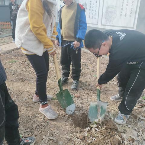 春意浓，来点绿——南杜村小学少工委开展植树节系列活动