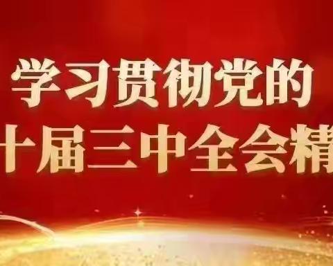 【闽都社区｜深入学习贯彻党的二十届三中全会精神】