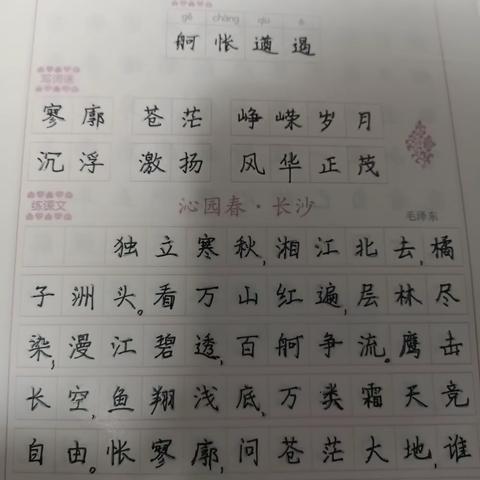 高羽先修作业