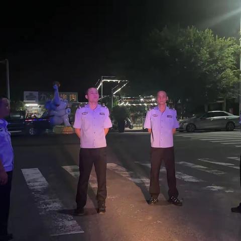 龙海村联防队的简篇