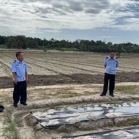 龙海村联防队的简篇