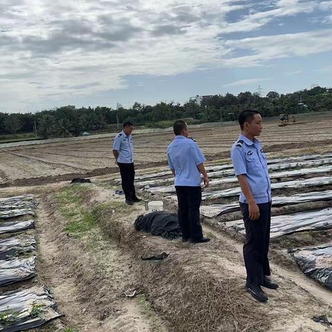 龙海村联防队的简篇