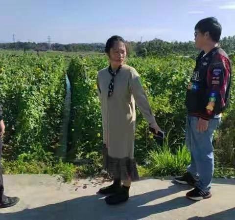 龙海村联防队的简篇