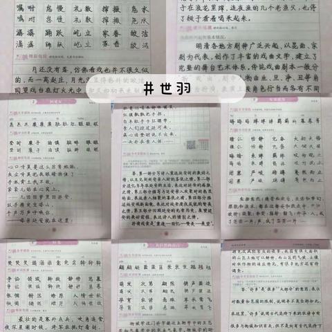 ［语文］22级十班四组晒作业